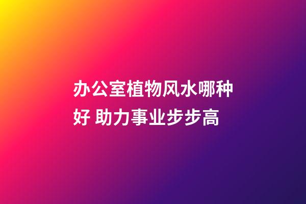 办公室植物风水哪种好 助力事业步步高